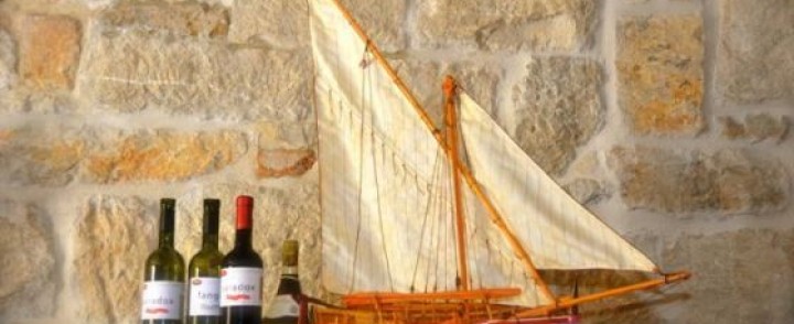 Robert, Discover Split & View from the Riva